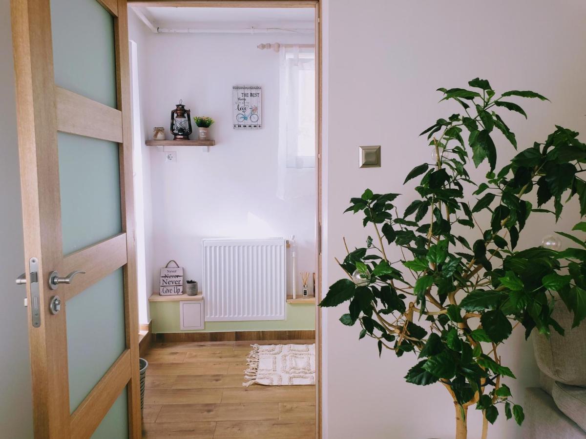 Cosy Studio-House With Terrace Targu Mures Ngoại thất bức ảnh